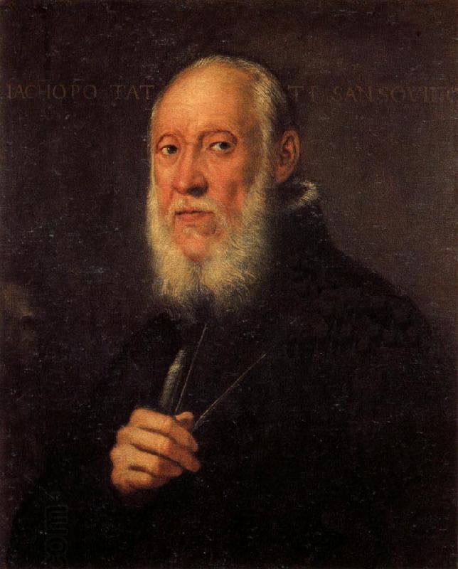 Jacopo Tintoretto Portrait of Jacopo Sansovino China oil painting art